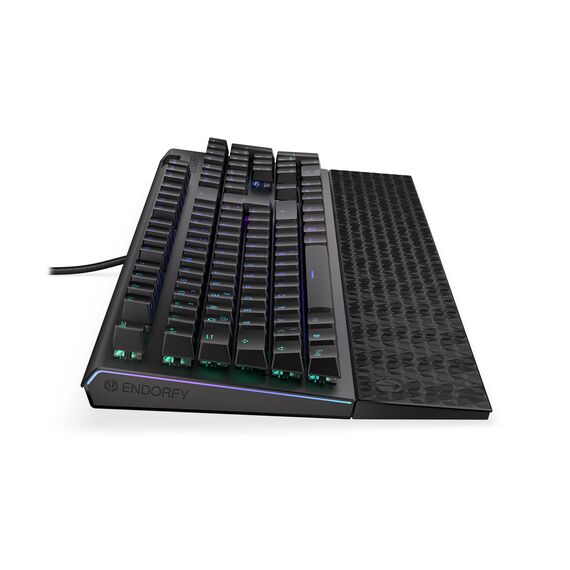 ENDORFY Omnis / Full-size (100%) / Straight / Wired / U | EY5D027