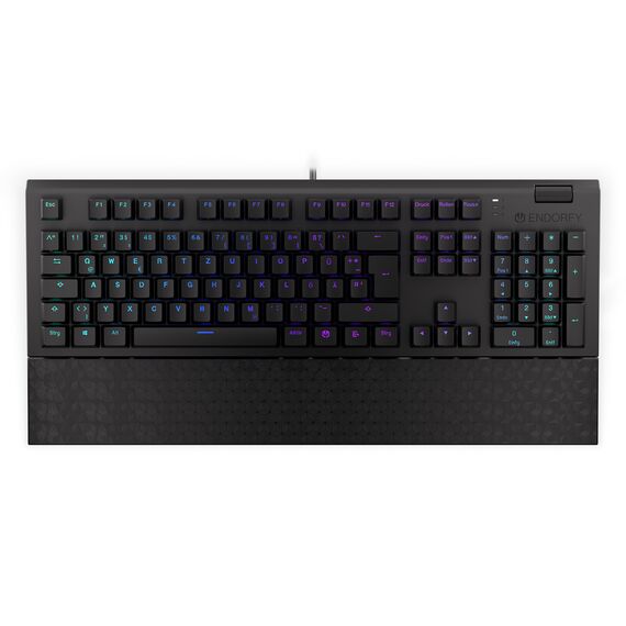 ENDORFY Omnis / Full-size (100%) / Straight / Wired / U | EY5D027