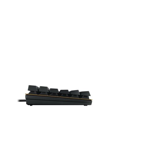 CHERRY KC 200 MX - Keyboard - USB - QWERTZ - Ge | G80-3950LHBDE-2