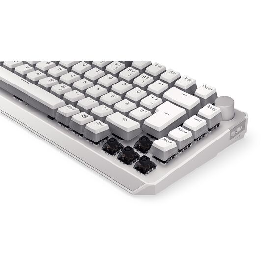 ENDORFY Thock 75% / 75% / Straight / Wired & Wireless / | EY5D020