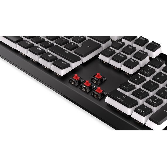 ENDORFY Thock / Full-size (100%) / Straight / Wired / U | EY5D024
