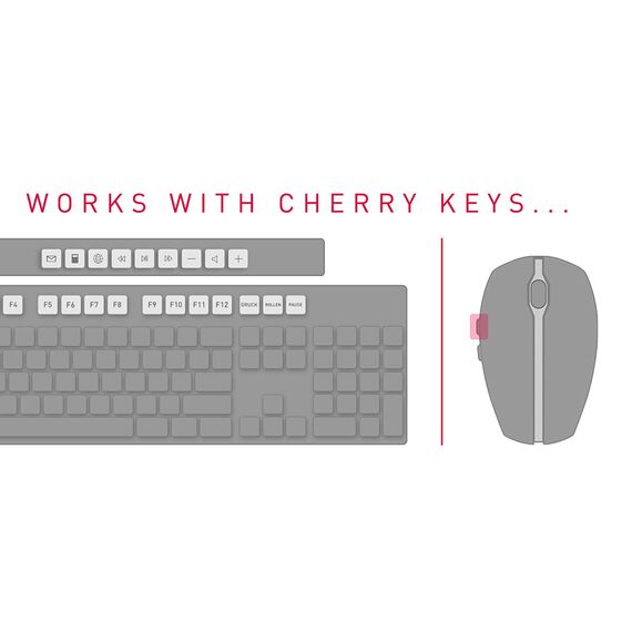 CHERRY DW 5100 - Keyboard and mouse set - wireless  | JD-0520CS-2