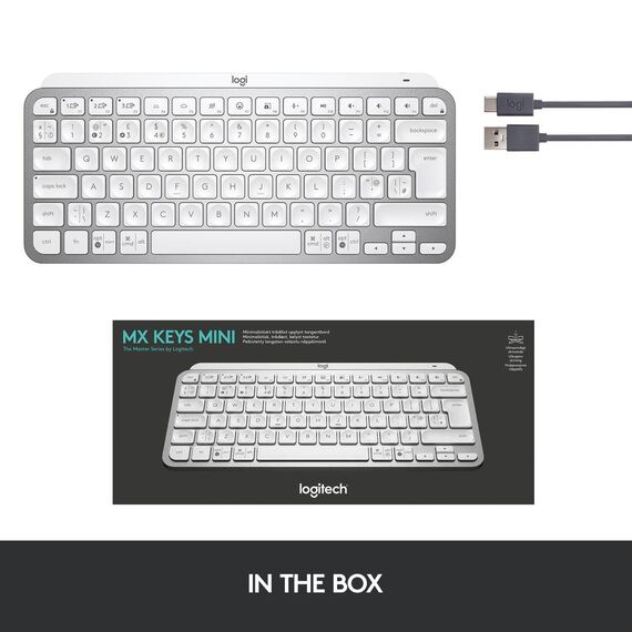 Logitech MX Keys Mini - Keyboard - backlit - Bluetoo | 920-010483