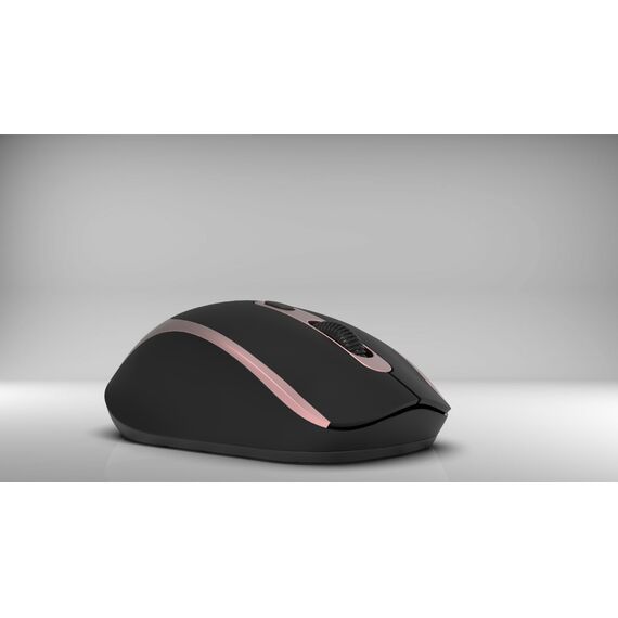 INCA IWM-211RG - Fully Symmetrical, Elegant Shape And Comfortable