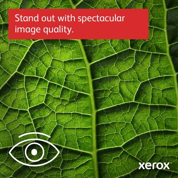 Xerox C410V/DN - Printer - colour - Duplex - laser - A | C410V_DN