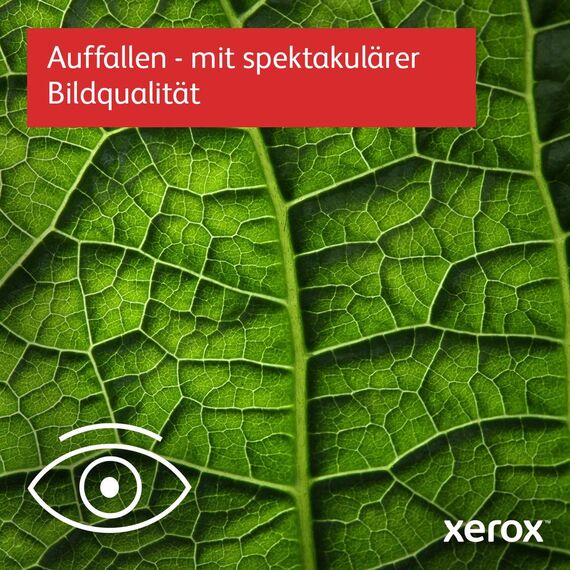Xerox C410V/DN - Printer - colour - Duplex - laser - A | C410V_DN
