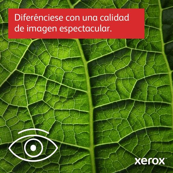 Xerox C410V/DN - Printer - colour - Duplex - laser - A | C410V_DN