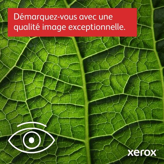Xerox C410V/DN - Printer - colour - Duplex - laser - A | C410V_DN