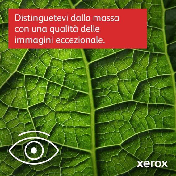 Xerox C410V/DN - Printer - colour - Duplex - laser - A | C410V_DN