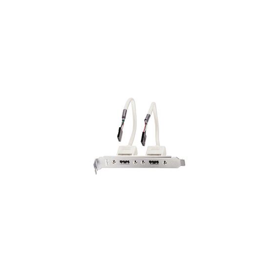 Lindy - USB panel - 5 pin USB 2.0 header (F) to USB (F) - | 33147