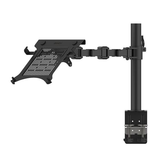 Lindy Adjustable Notebook and Display Arm - Schwarz | 40982