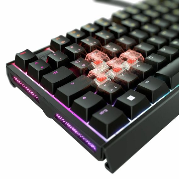 CHERRY XTRFY MX 3.1 - Keyboard - 100% - full si | G80-3890LJADE-2