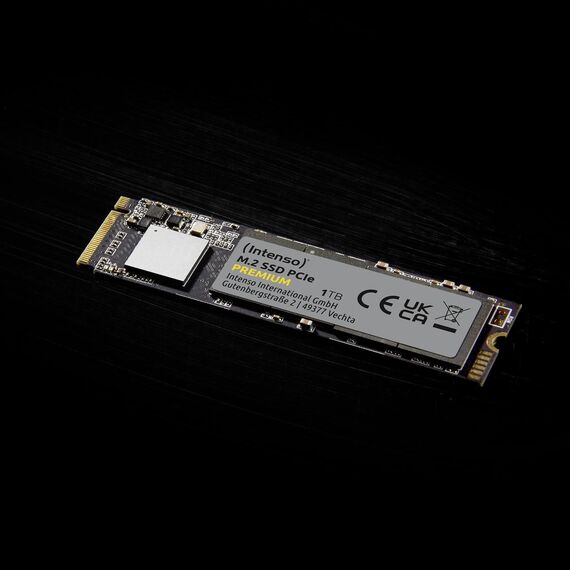 Intenso PREMIUM - SSD - 250 GB - internal - M.2 2280 -  | 3835440