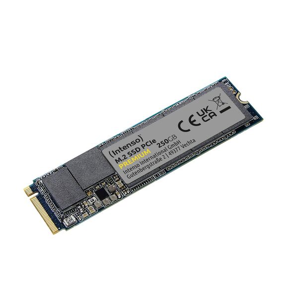 Intenso PREMIUM - SSD - 250 GB - internal - M.2 2280 -  | 3835440