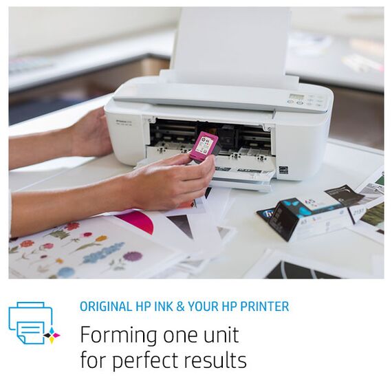 HP 300XL - 12 ml - High Yield - black - original - ink  | CC641EE