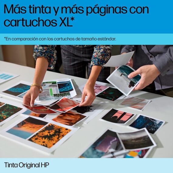 HP 300XL - 12 ml - High Yield - black - original - ink  | CC641EE