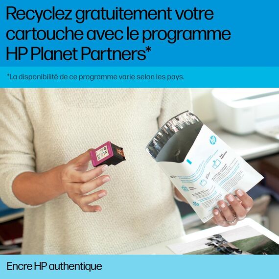 HP 300XL - 12 ml - High Yield - black - original - ink  | CC641EE