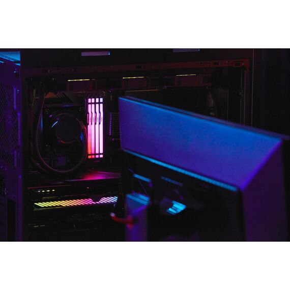 Kingston FURY Beast RGB - DDR5 - module - 8 GB -  | KF556C40BBA-8