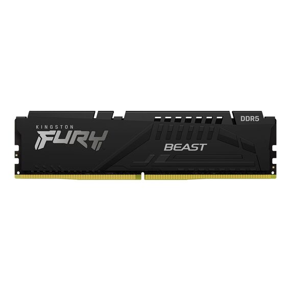 Kingston FURY Beast - DDR5 - module - 16 GB - D | KF560C36BBE2-16