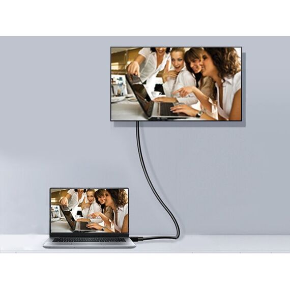 Equip - DisplayPort cable - DisplayPort (M) to DisplayPo | 119265