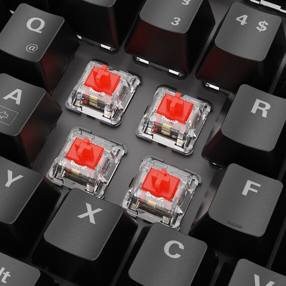 Sharkoon Skiller Mech SGK20 RED DE - Tastatur - 1 | 4044951037759