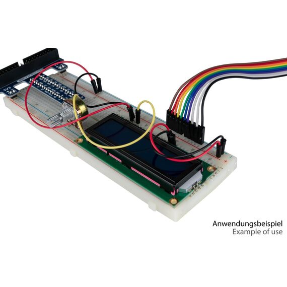 kabelmeister Jumper Wire 40-Pin trennbare Adern fü | JW40-020FF-3
