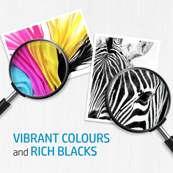 HP 651 - Black - original - Ink Advantage - ink car | C2P10AE#BHL