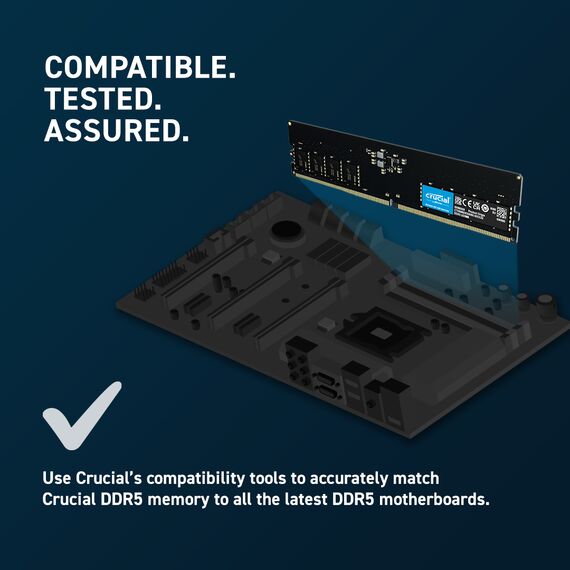 Crucial - DDR5 - module - 8 GB - DIMM 288-pin - 560 | CT8G56C46U5