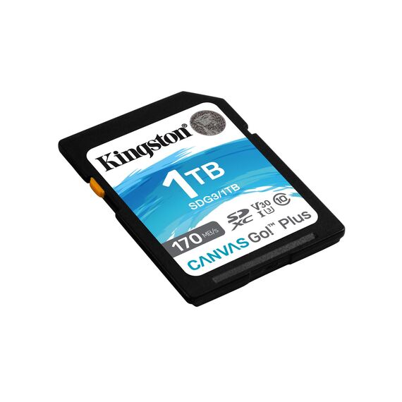 Kingston Canvas Go! Plus - Flash memory card - 1 TB -  | SDG3/1TB