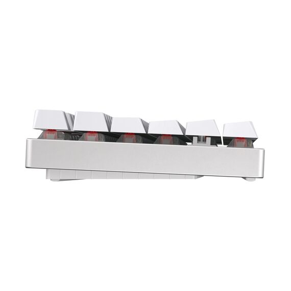CHERRY MX 8.2 TKL - Keyboard - backlit - wirele | G80-3882LYAFR-0
