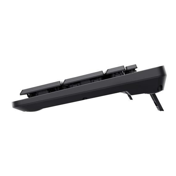 Trust Ody II, Full-size (100%), Wireless, RF Wireless, Me | 25014
