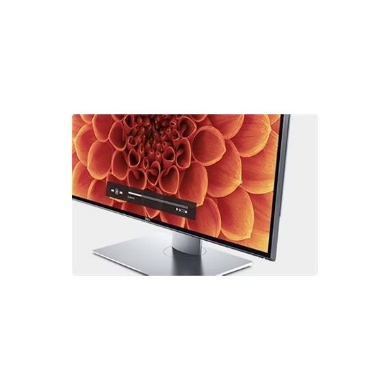 31.5" - 7680 x 4320 8K @ 60 Hz - IPS - 400 cd/m²  | DELL-UP3218KA