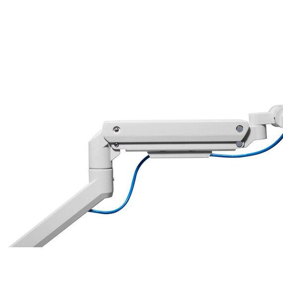 Equip 17"-49" Heavy-Duty Monitor Desk Mount Bracket, White 650181