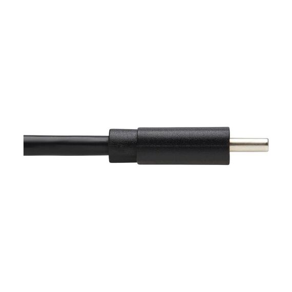 USB cable - 24 pin USB-C (M) right-angled to 24 p | U040-01M-C-RA