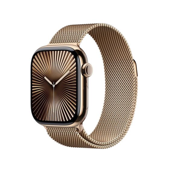 42 mm - gold titanium - smart watch with milanese loo | MX083QF/A