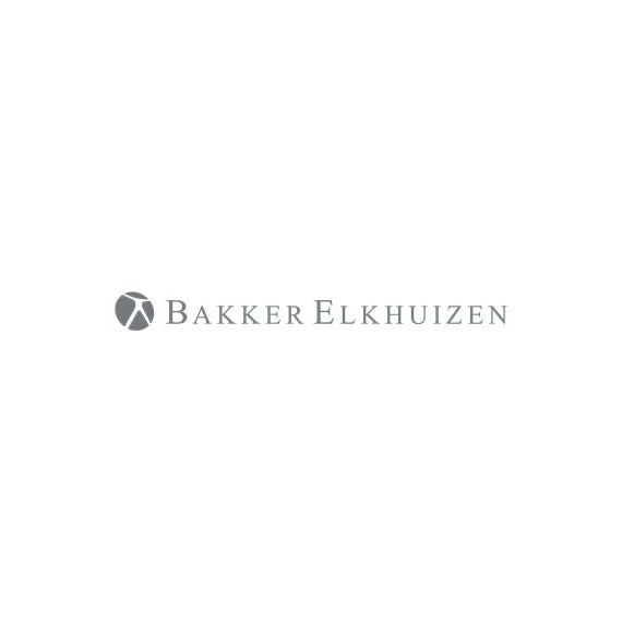 Bakker Elkhuizen USB Dongle - Wireless mouse receiver  | BNEEVWD4