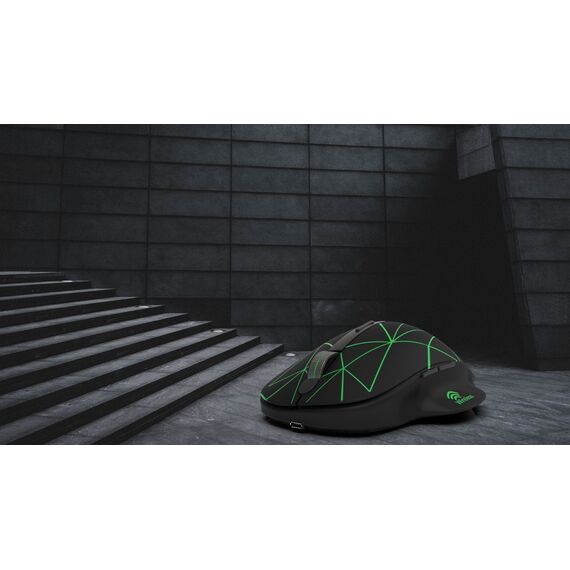 INCA IWM-551 2.4GHz Wireless Mouse