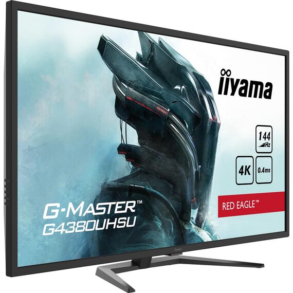 iiyama G-MASTER Red Eagle G4380UHSU-B1 - LED monitor - 43" (42.5"