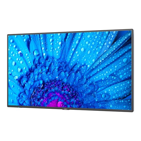 NEC MultiSync M431 - 43" Diagonal Class M Series LED-b | 60005047