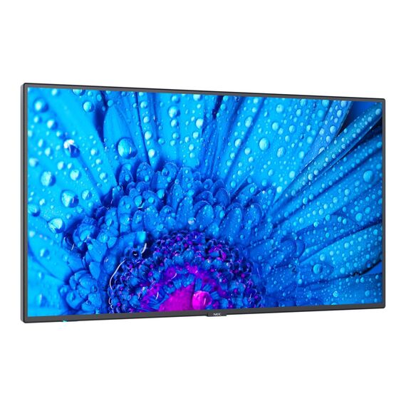 NEC MultiSync M431 - 43" Diagonal Class M Series LED-b | 60005047