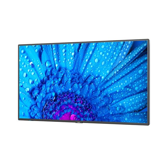 NEC MultiSync M431 - 43" Diagonal Class M Series LED-b | 60005047