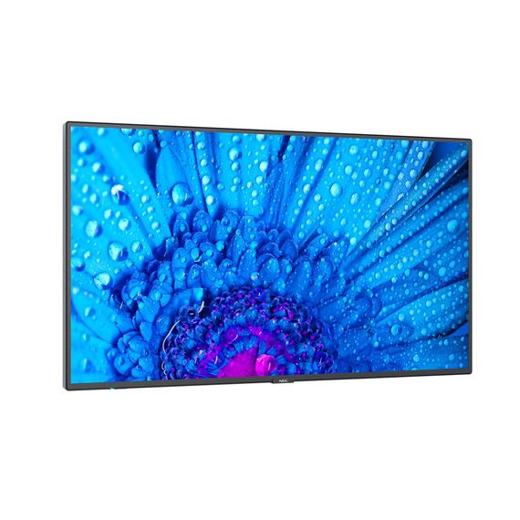NEC MultiSync M431 - 43" Diagonal Class M Series LED-b | 60005047