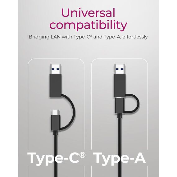 ICY BOX IB-LAN301-C3 / Wired / USB Type-A/USB Type-C / Ethernet /