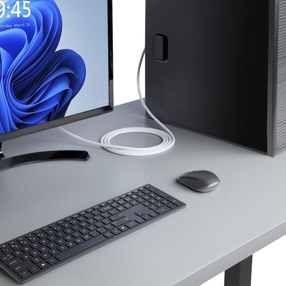 DisplayPort cable - DisplayPort (M) latched to | DP12-CABLE-10FTW