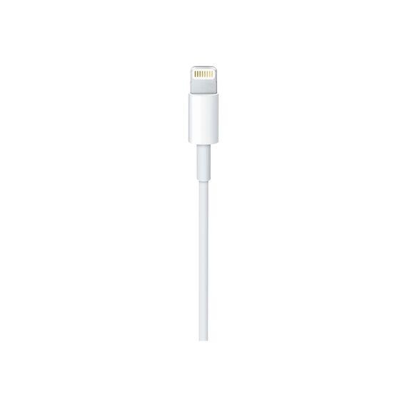 Apple USB-C to Lightning Cable - Lightning cable - 24 | MUQ93ZM/A