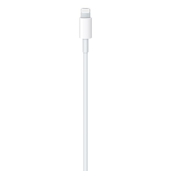 Apple USB-C to Lightning Cable - Lightning cable - 24 | MUQ93ZM/A