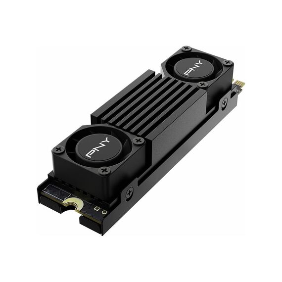 PNY CS3150 - SSD - encrypted - 1 TB - inter | M280CS3150HS-1TB-RB