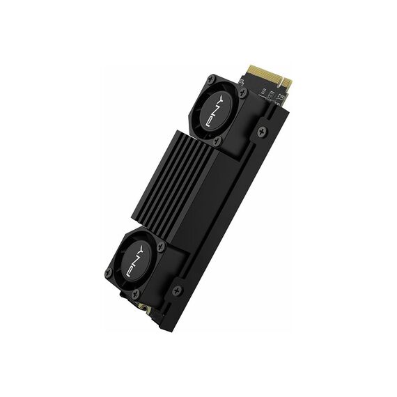 PNY CS3150 - SSD - encrypted - 1 TB - inter | M280CS3150HS-1TB-RB