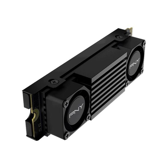 PNY CS3150 - SSD - encrypted - 1 TB - inter | M280CS3150HS-1TB-RB