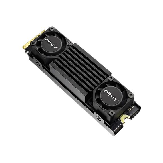 PNY CS3150 - SSD - encrypted - 1 TB - inter | M280CS3150HS-1TB-RB
